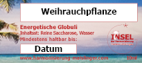 Weihrauchpflanze